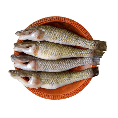 BD Baila Clean 500g