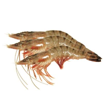 BD Horina Shrimps 71/90 500g