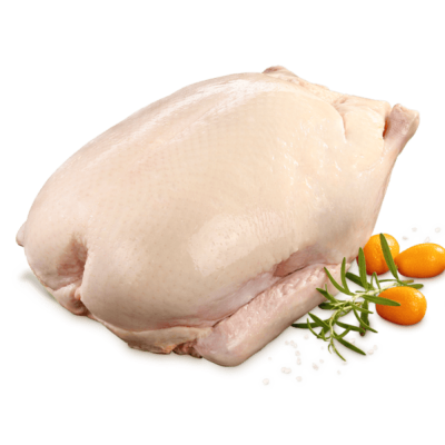Classic Duck 2200g
