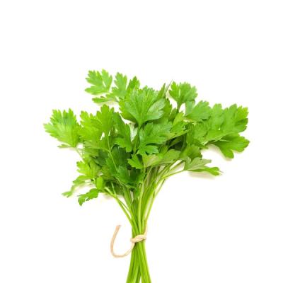 Coriander Leaves