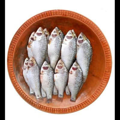 Deshi Puti Clean 250g