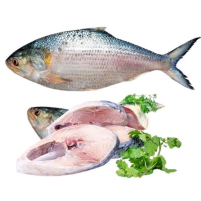 Chadpuri Padmar Ilish 1000/1200g
