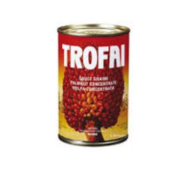 Trofai Palm Soup 400g