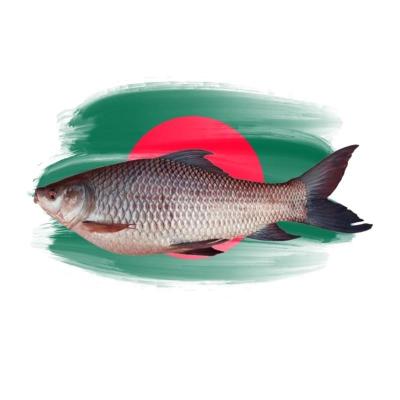 Rohu Whole Fish /kg