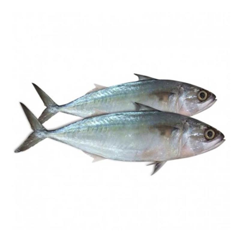 Indian Mackerel 1kg
