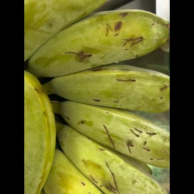 Bangla Green Banana